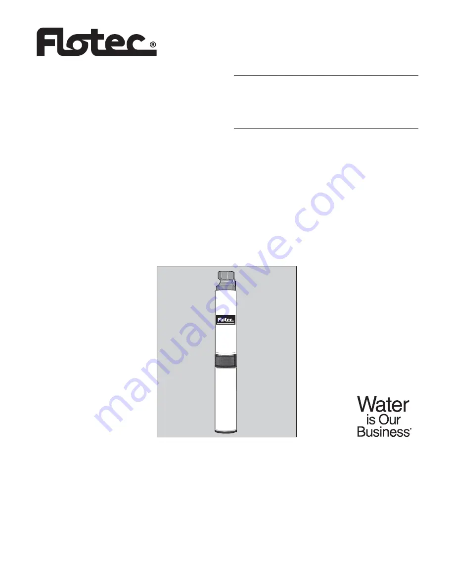 Flotec FP0S6000A Скачать руководство пользователя страница 1