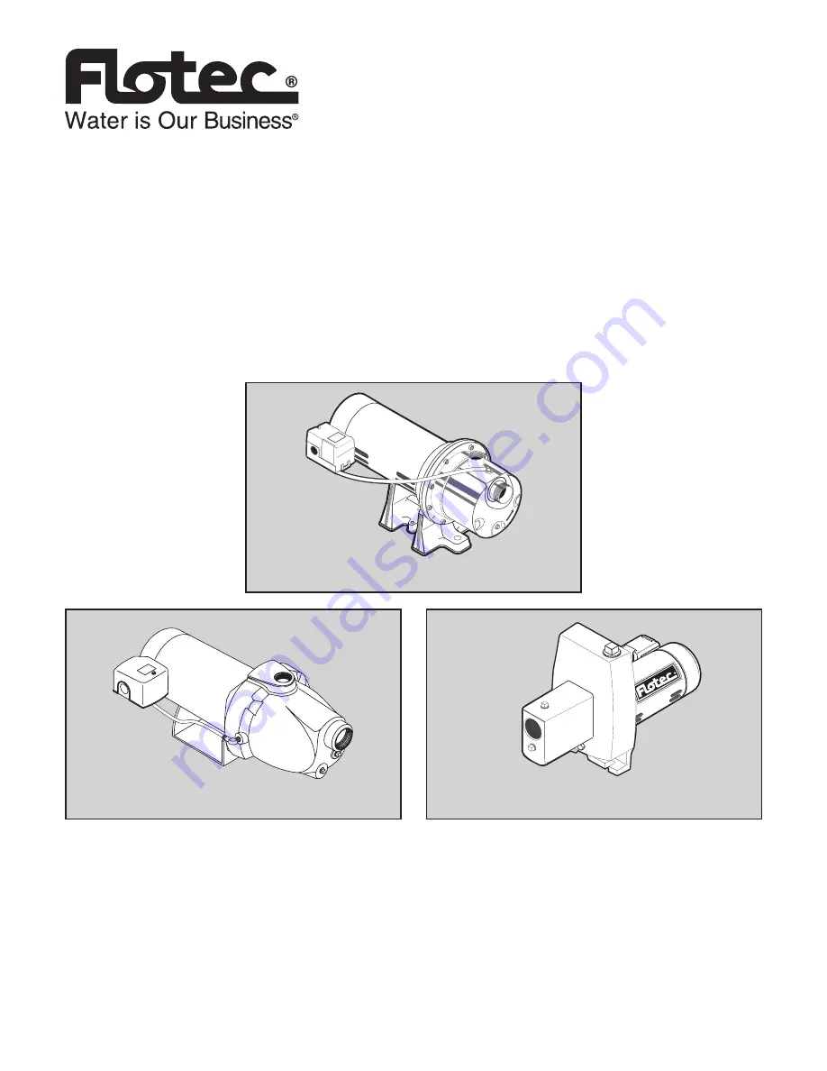 Flotec FP4000 Series Owner'S Manual Download Page 1