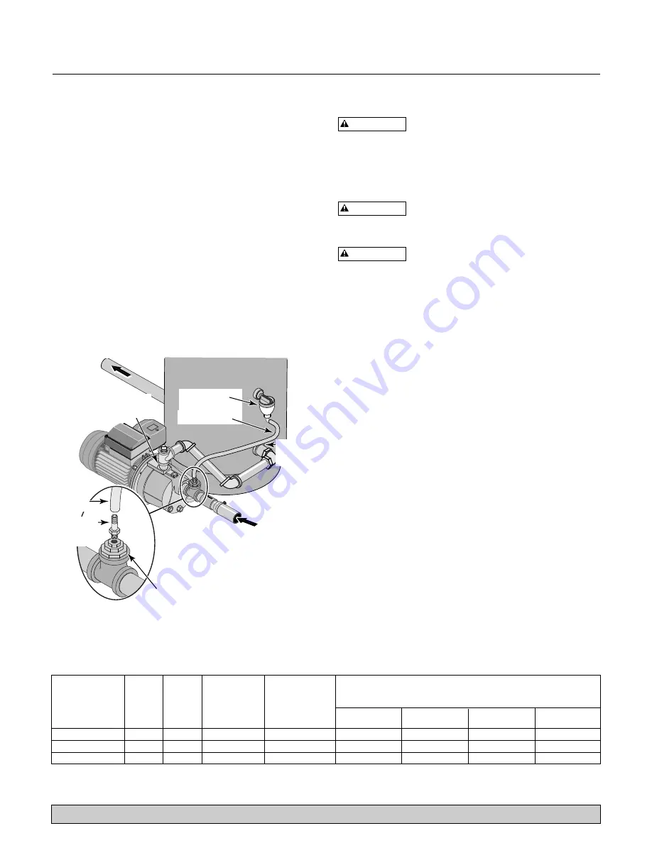 Flotec FP4105 Скачать руководство пользователя страница 14