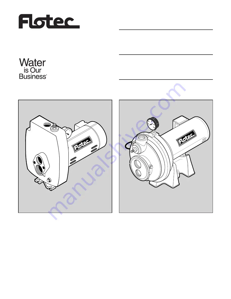 Flotec FP4200 Series Скачать руководство пользователя страница 1