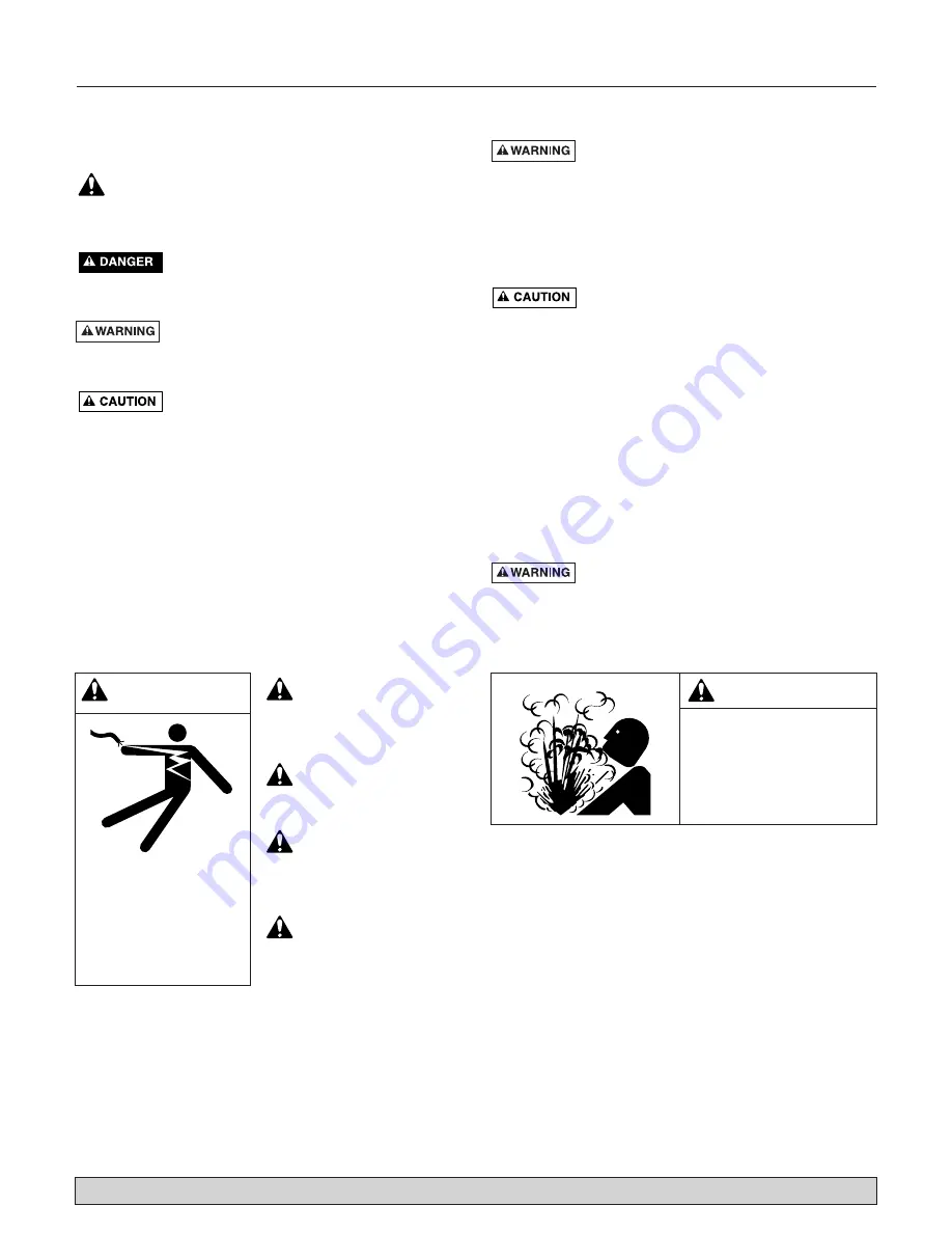 Flotec FP4200 Series Owner'S Manual Download Page 2