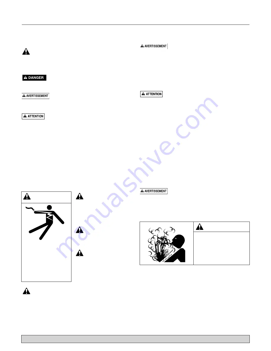 Flotec FP4200 Series Owner'S Manual Download Page 17