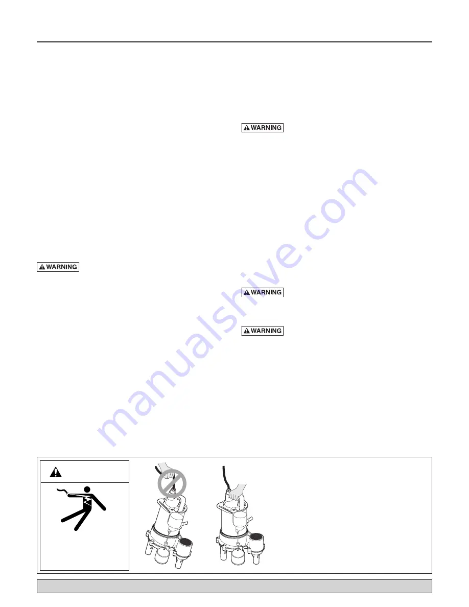 Flotec PROFESSIONAL FPSE9050 Owner'S Manual Download Page 3