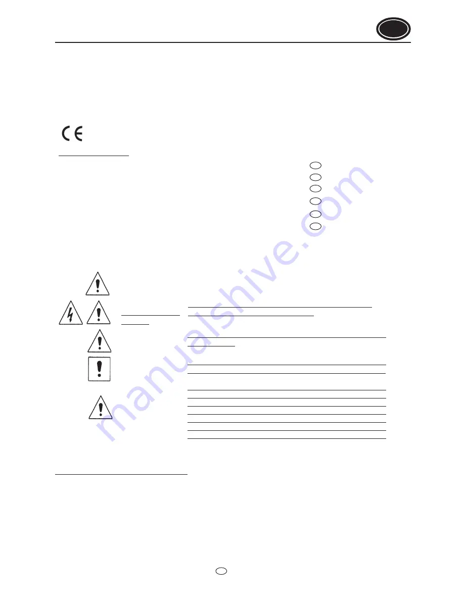 Flotec SUB 6S Use And Maintenance Manual Download Page 45