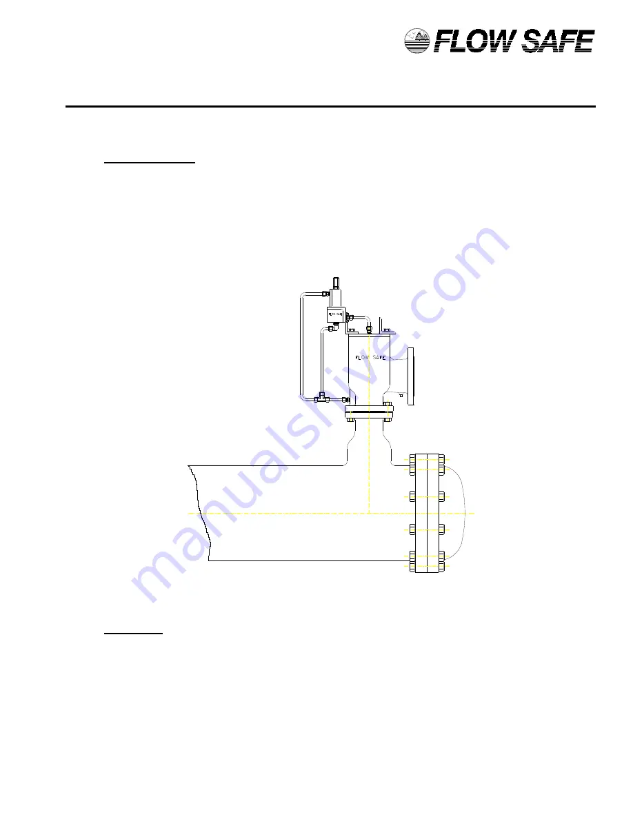 Flow Safe F70VP Series Скачать руководство пользователя страница 6