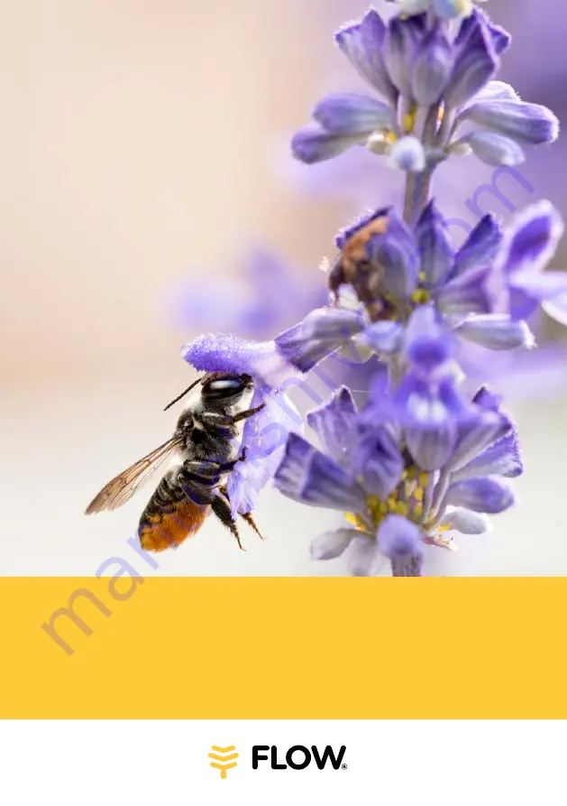 Flow POLLINATOR Скачать руководство пользователя страница 1