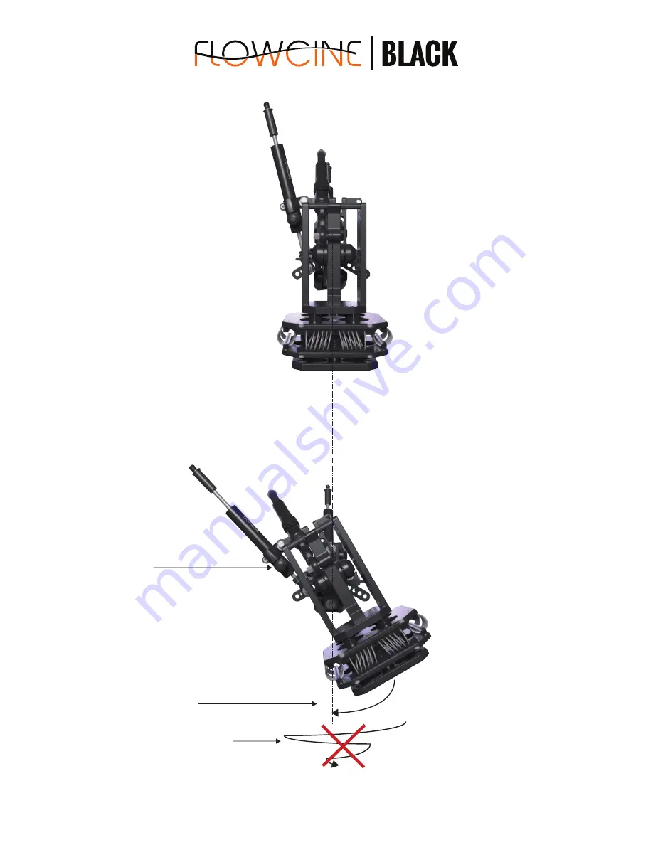 Flowcine Black Arm Instructions Manual Download Page 10