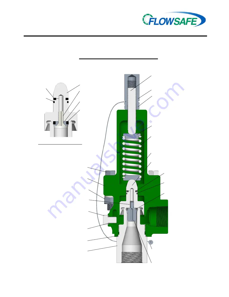 Flowsafe F84L Series Скачать руководство пользователя страница 15