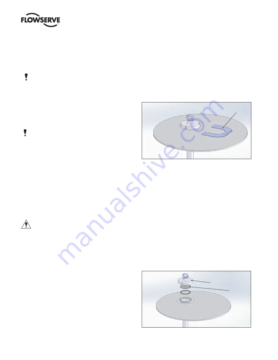 Flowserve ColdFlow 341000 User Instructions Download Page 4