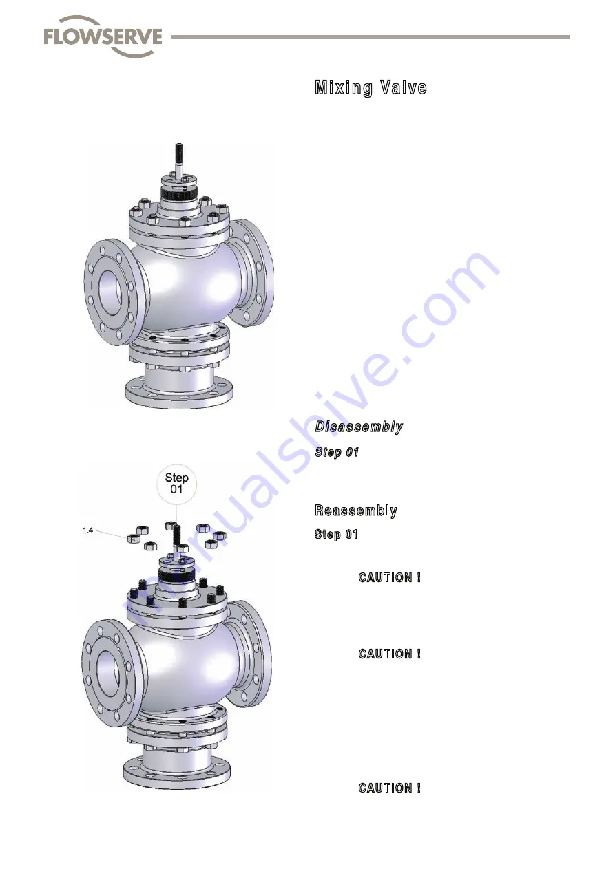 Flowserve FlowTop V726 Disassembly/Reassembly Instructions Download Page 17