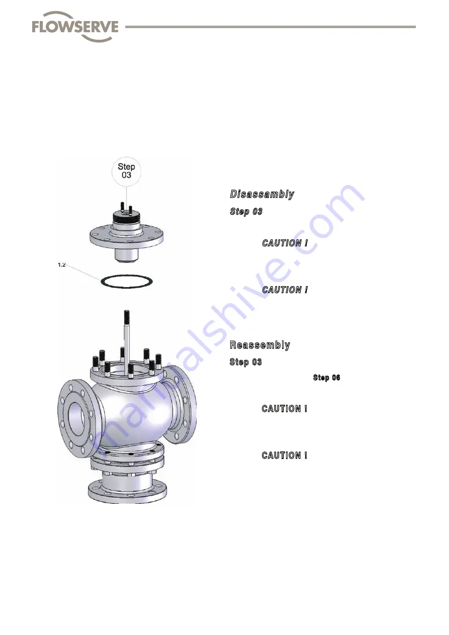 Flowserve FlowTop V726 Disassembly/Reassembly Instructions Download Page 19