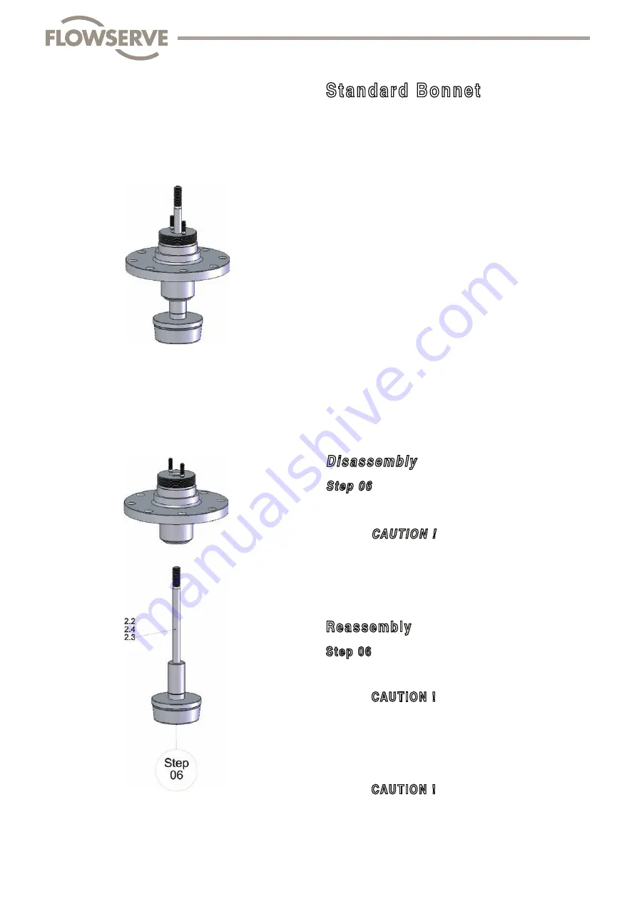 Flowserve FlowTop V726 Disassembly/Reassembly Instructions Download Page 38