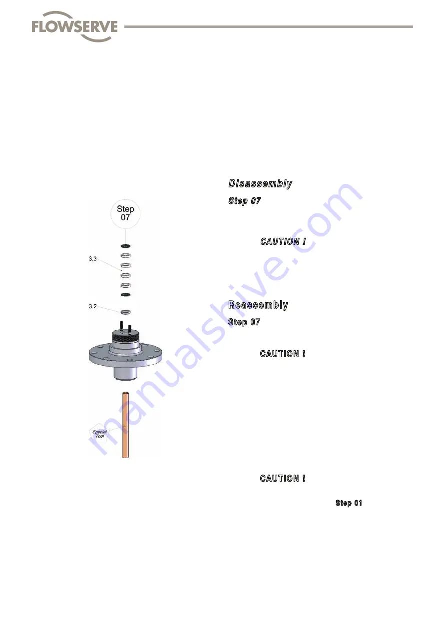 Flowserve FlowTop V726 Disassembly/Reassembly Instructions Download Page 39