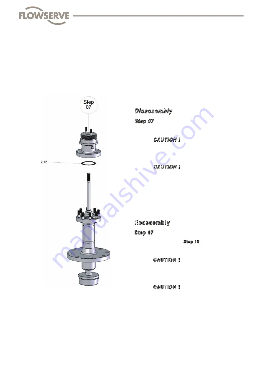 Flowserve FlowTop V726 Disassembly/Reassembly Instructions Download Page 43