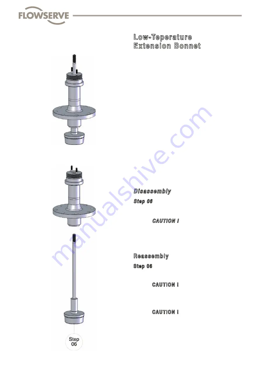 Flowserve FlowTop V726 Disassembly/Reassembly Instructions Download Page 50