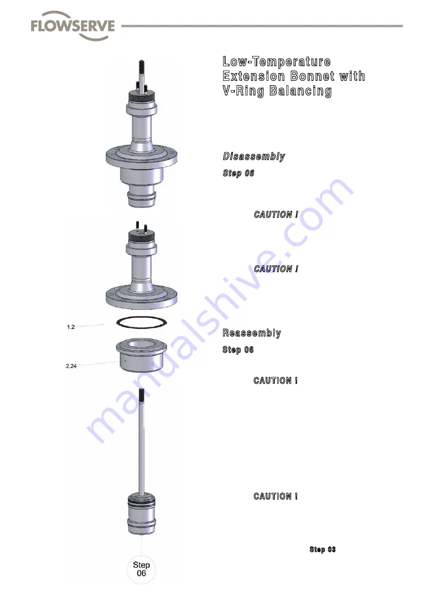 Flowserve FlowTop V726 Disassembly/Reassembly Instructions Download Page 52