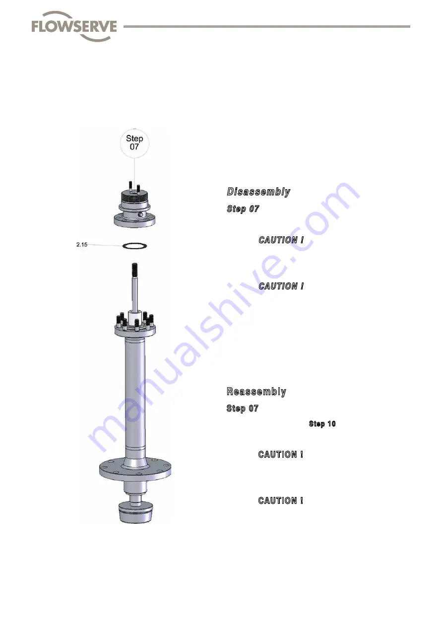 Flowserve FlowTop V726 Disassembly/Reassembly Instructions Download Page 57