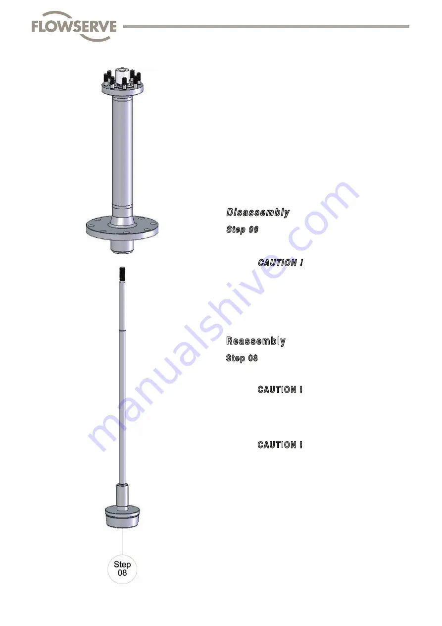 Flowserve FlowTop V726 Disassembly/Reassembly Instructions Download Page 58