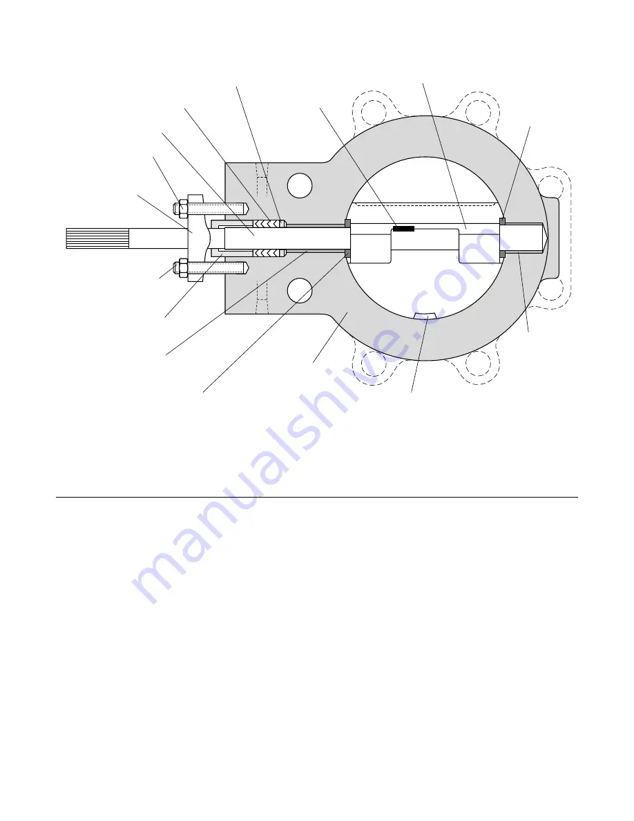 Flowserve Valdisk 150 Скачать руководство пользователя страница 3