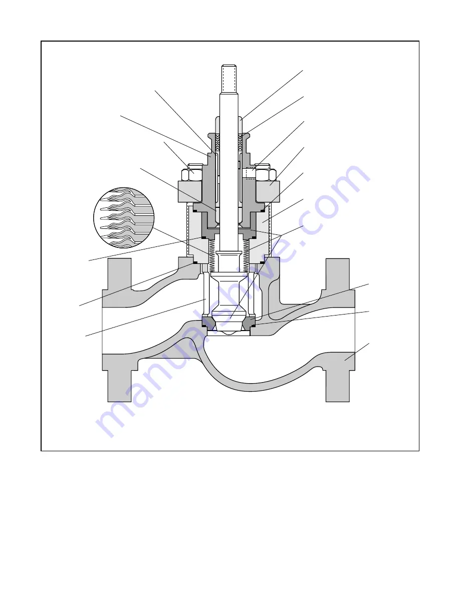 Flowserve Valtek Скачать руководство пользователя страница 2