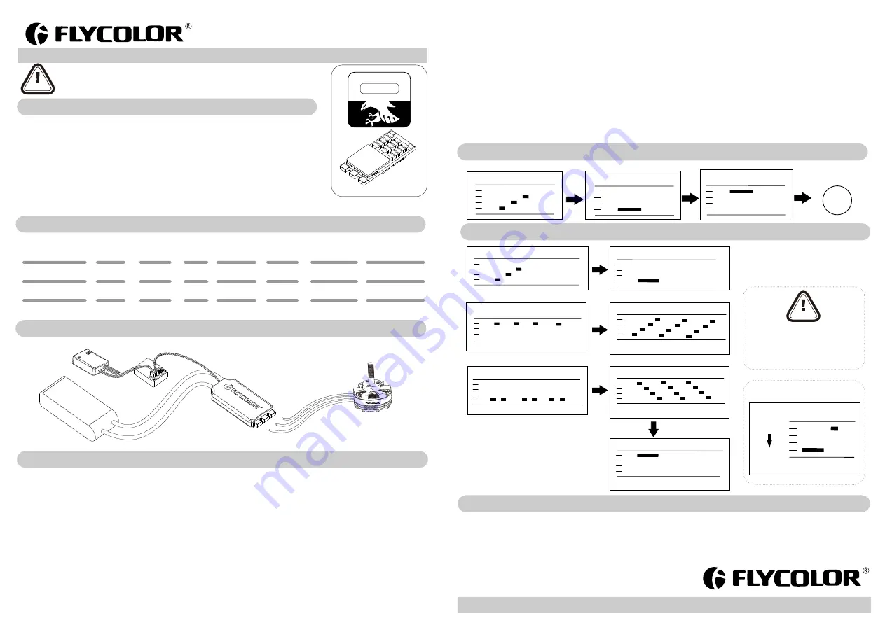 Flycolor Raptor BLS-Pro-20A User Manual Download Page 2