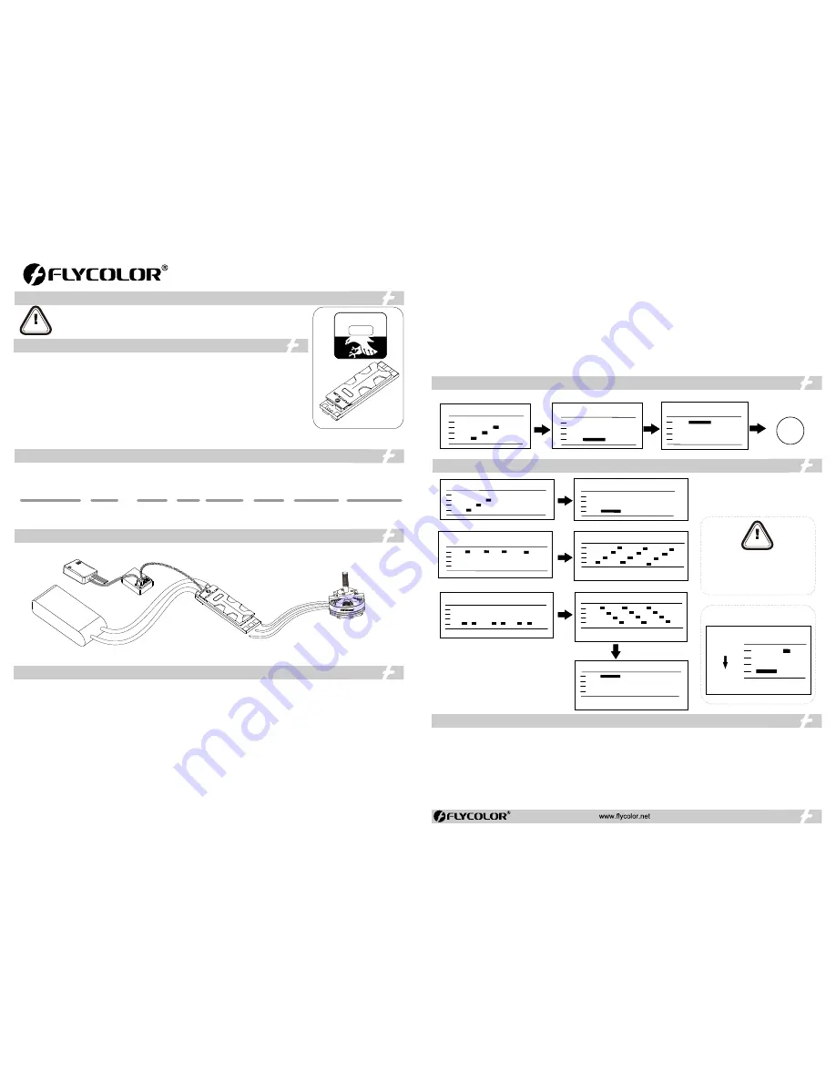 Flycolor Raptor SLIM-40A Скачать руководство пользователя страница 2