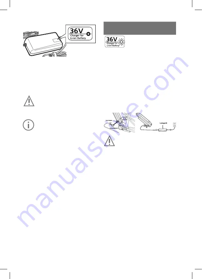 Flyer Intelligent Technology Panasonic Instructions Manual Download Page 36