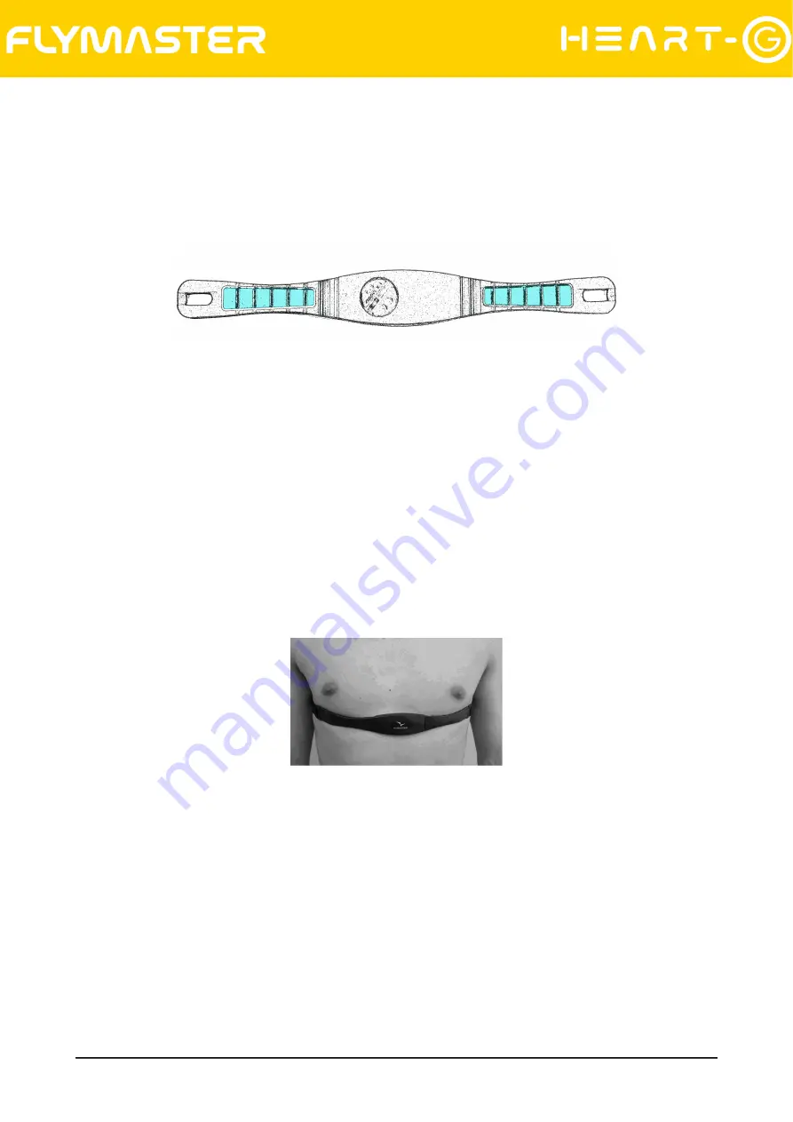 Flymaster HEART-G User Manual Download Page 6