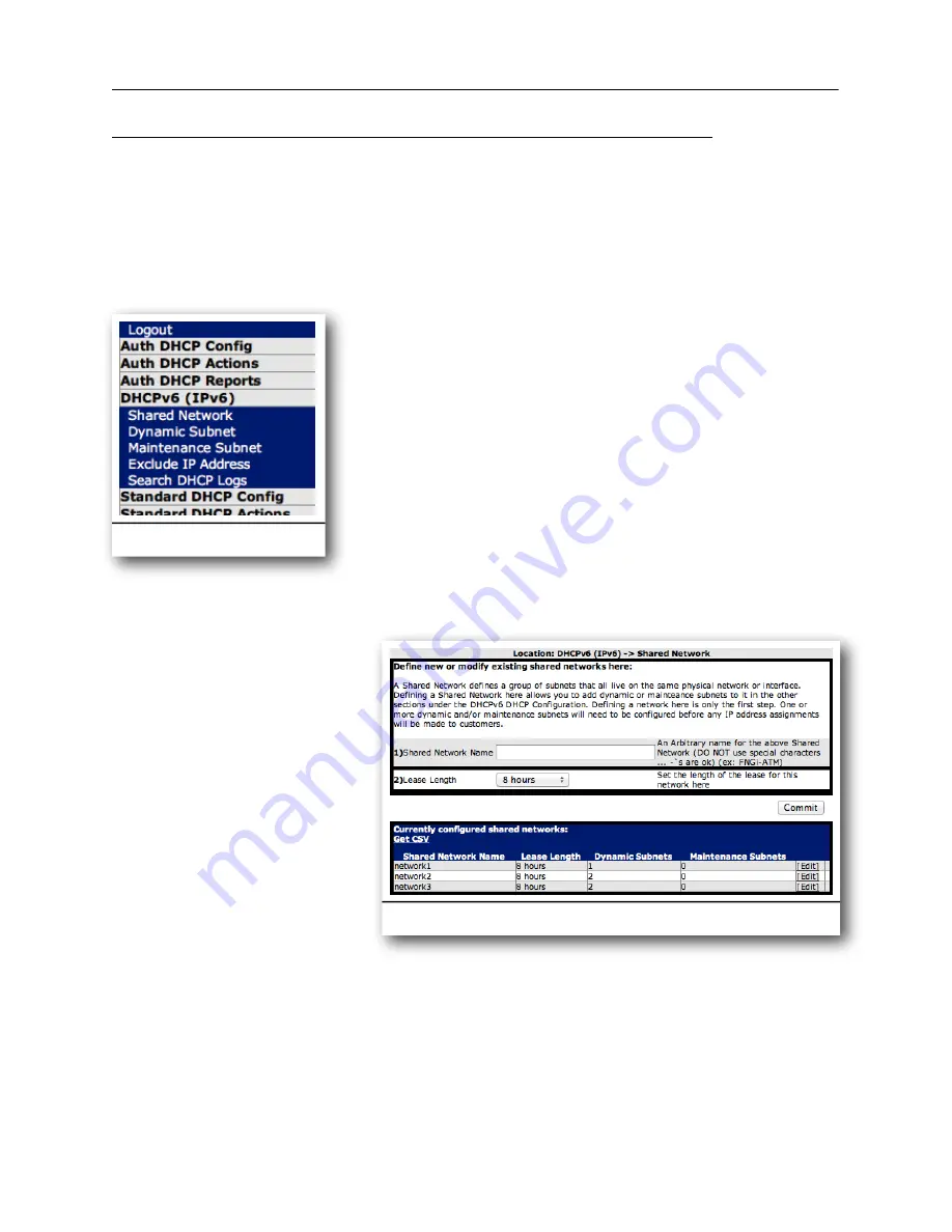 FNGi DHCPatriot Version 6 Operation Manual Download Page 59