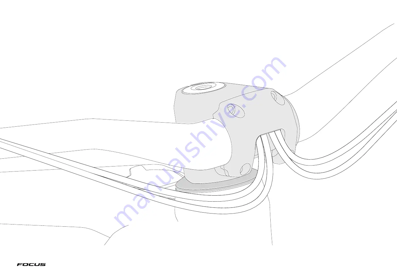 Focus C.I.S. STEM Technical Manual Download Page 2