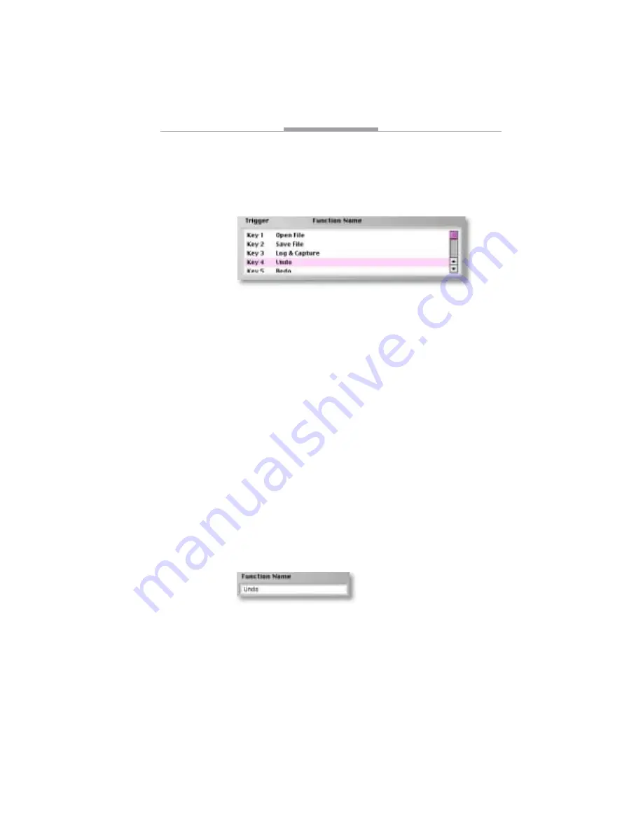 Focus MANL-0823-01 User Manual Download Page 27