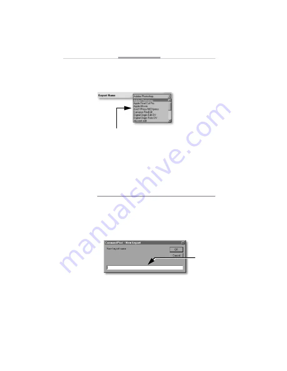 Focus MANL-0823-01 Скачать руководство пользователя страница 32