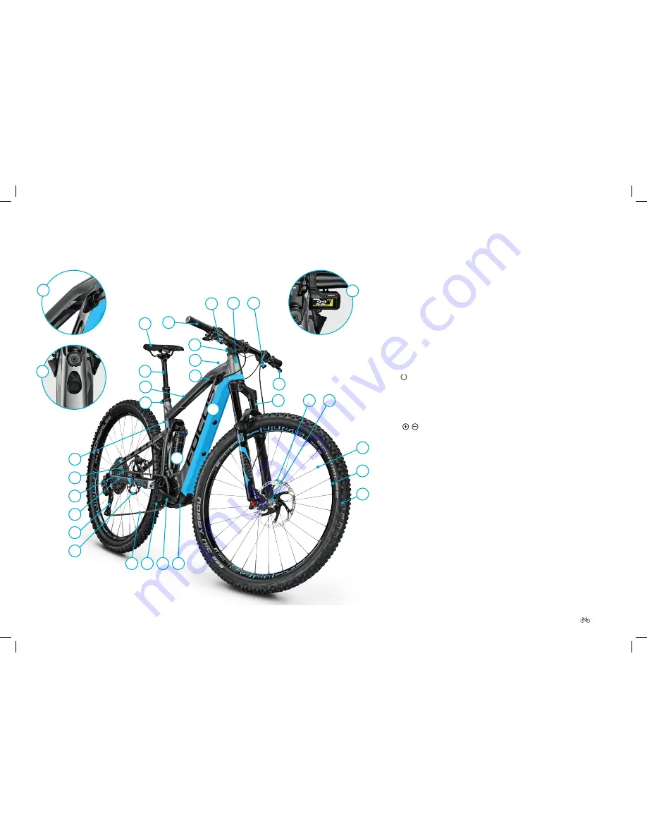 Focus Shimano STEPS E8000 User Manual Download Page 11