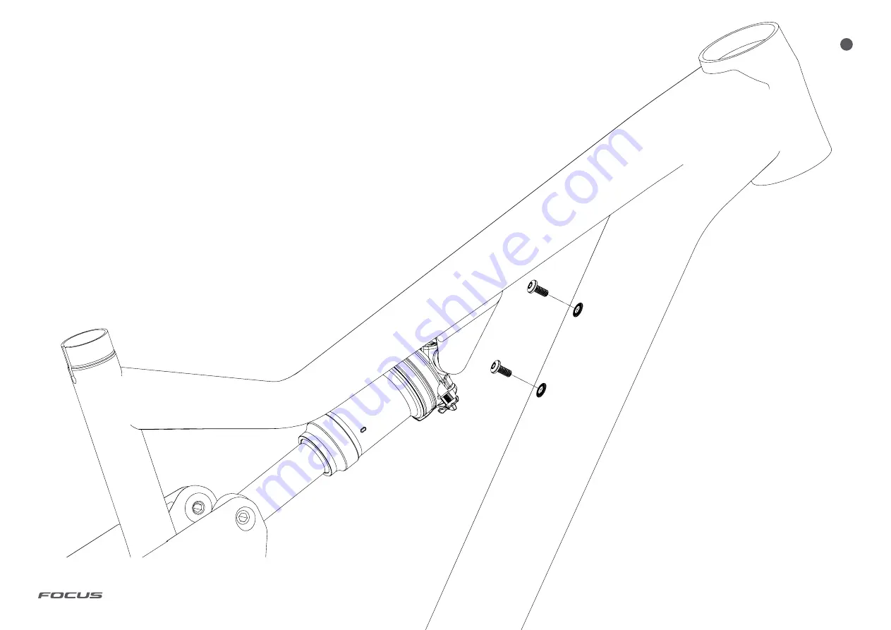 Focus THRON Assembly Download Page 3