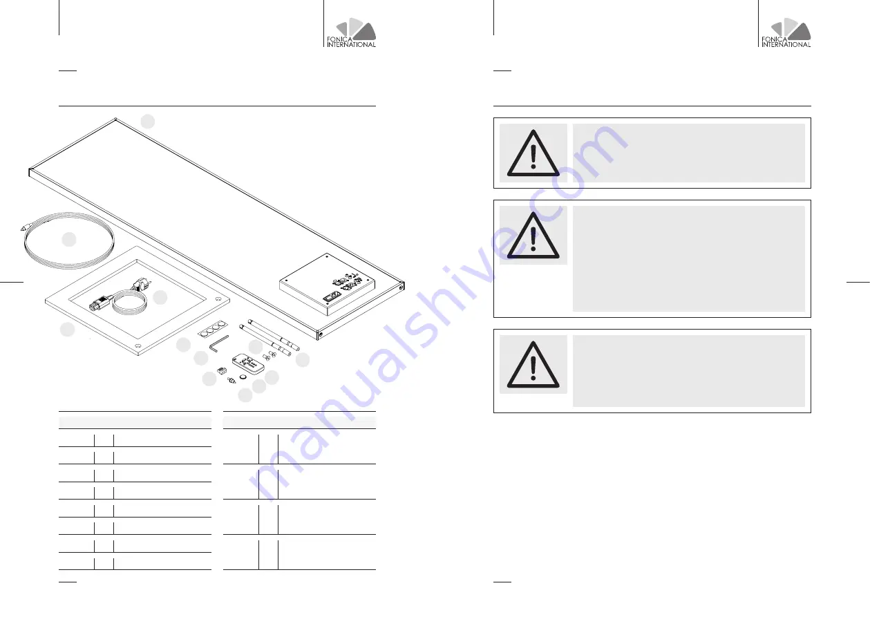 FONICA INTERNATIONAL FLAG Installation & Use Manual Download Page 5