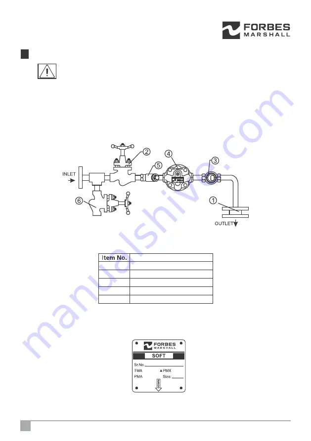 Forbes Marshall DN15-25 Installation And Maintenance Manual Download Page 9