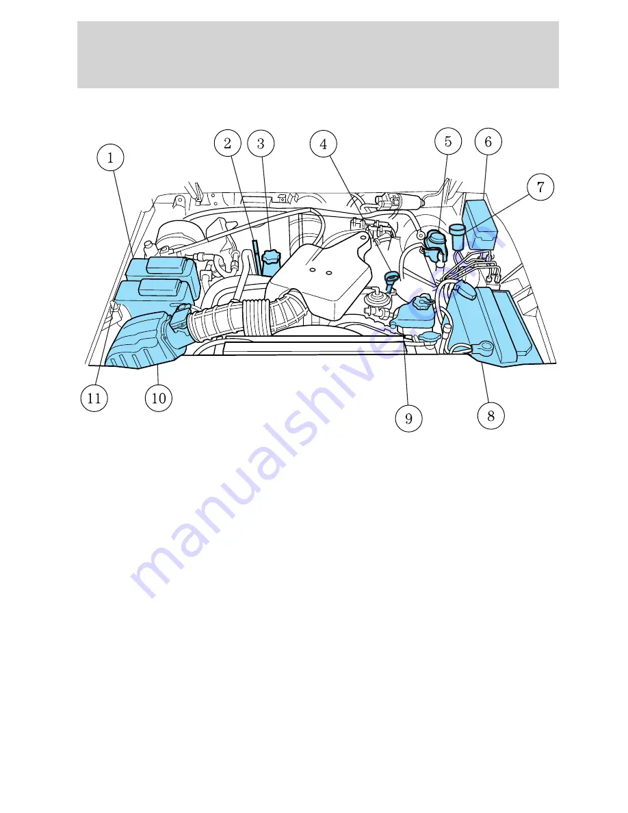 Ford 2002 Ranger User Manual Download Page 240