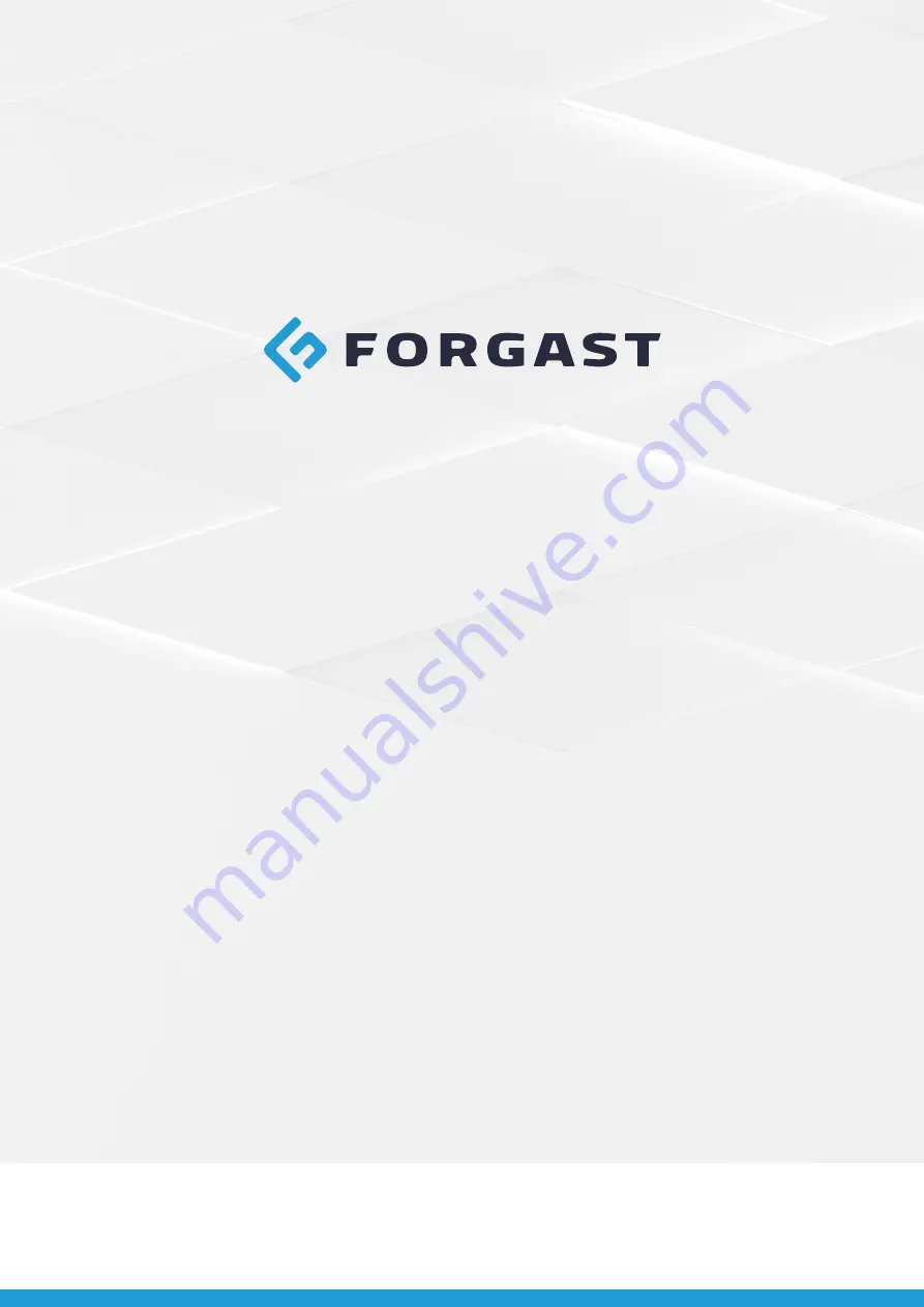 Forgast FG00408 Instruction Manual Download Page 38