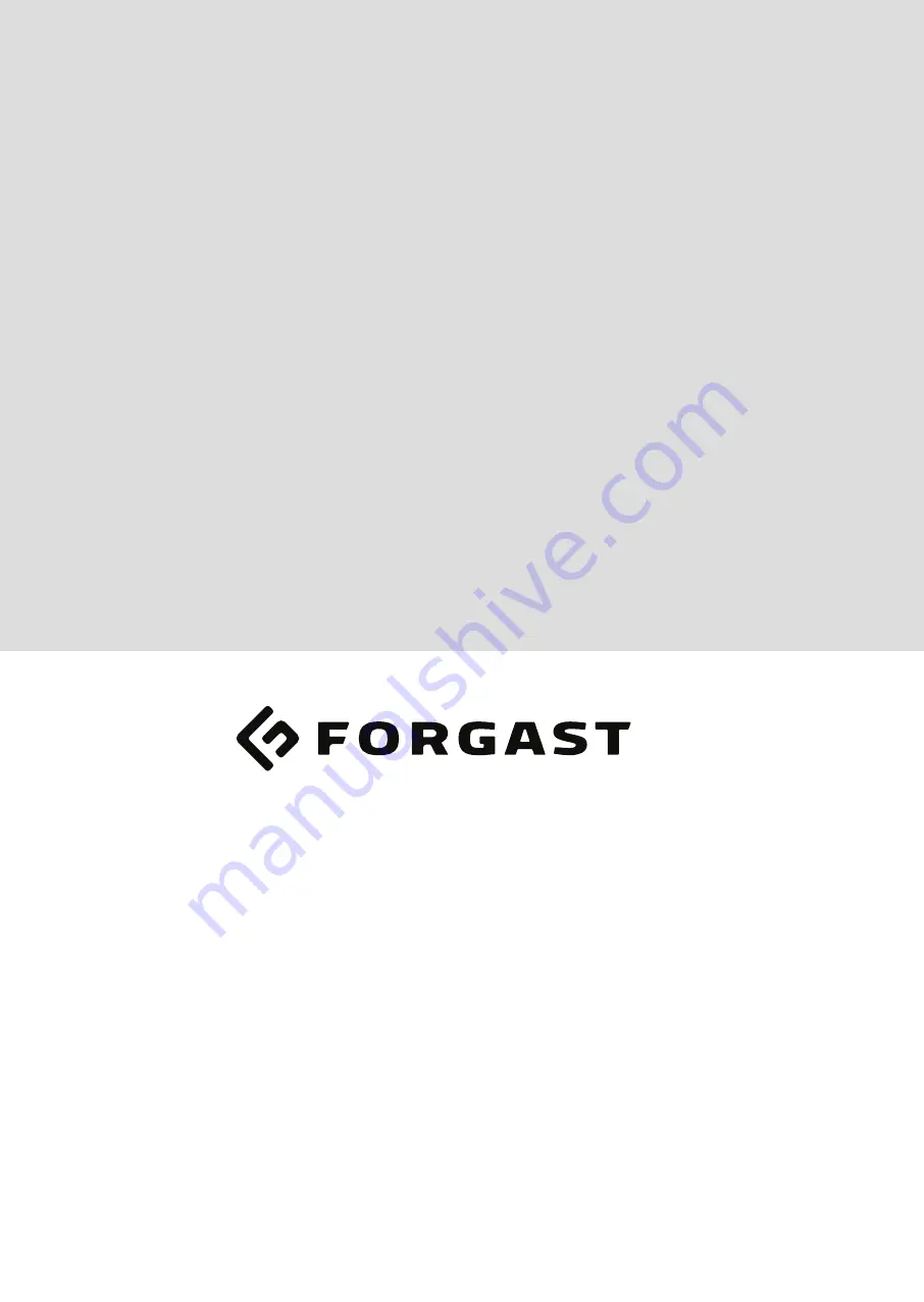 Forgast FG09201 Скачать руководство пользователя страница 12