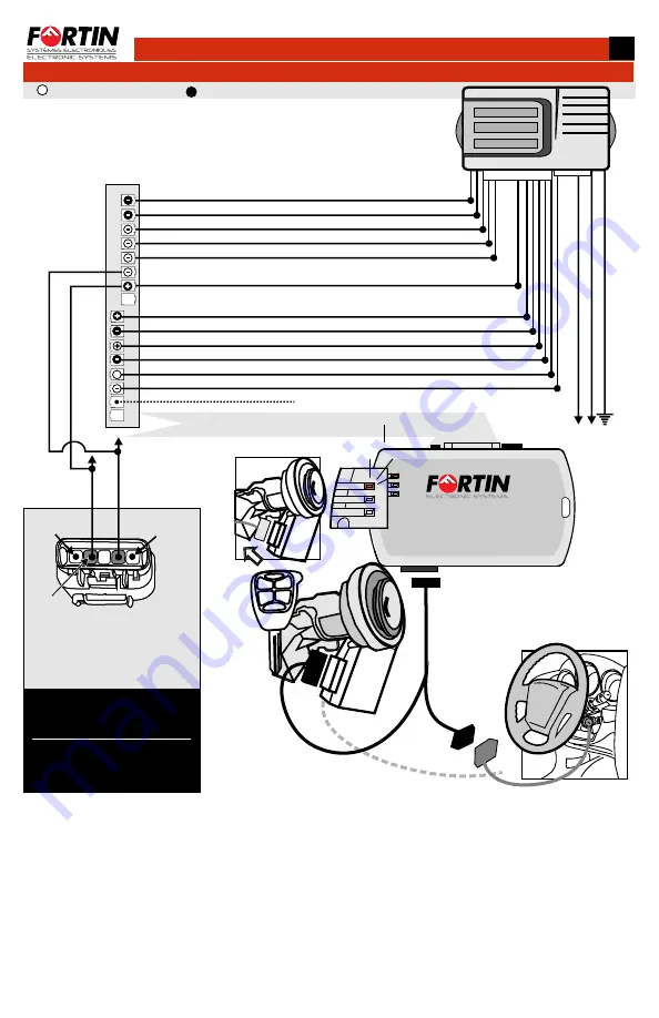 Fortin EVO-CHR T1 Скачать руководство пользователя страница 7