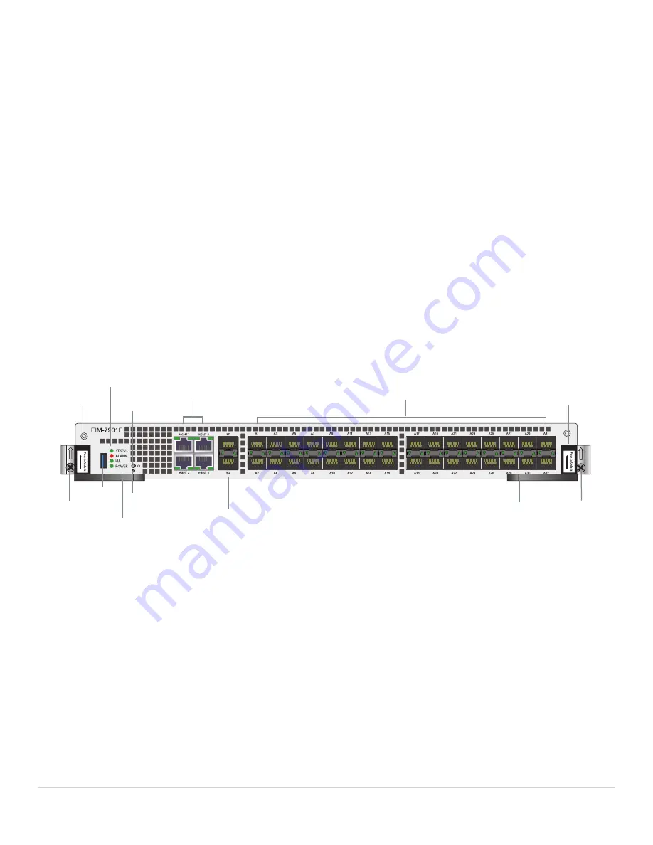 Fortinet FIM-7901E Manual Download Page 5