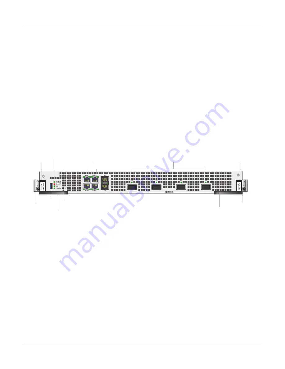 Fortinet FIM-7920E Manual Download Page 5