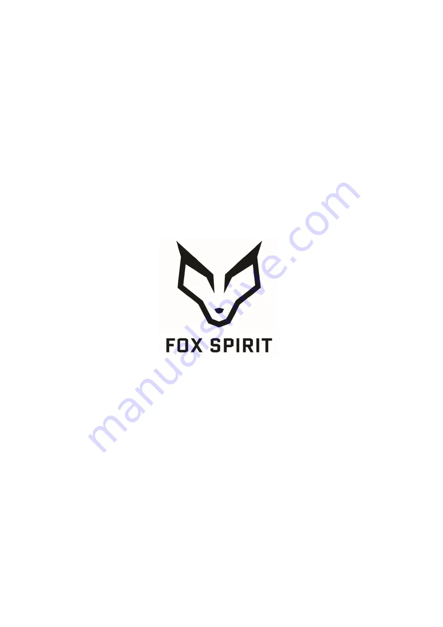 Fox Spirit PM18 240 Go Manual Download Page 16