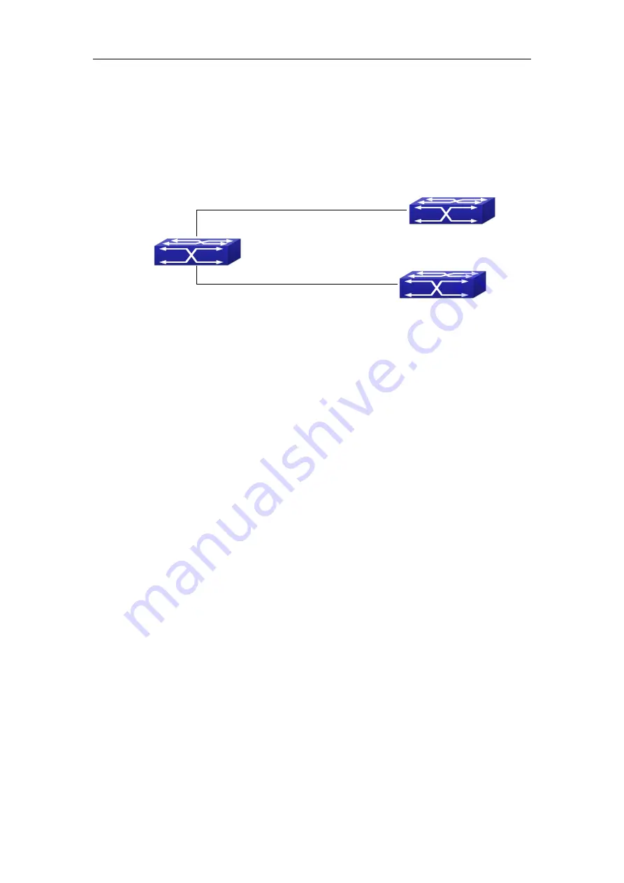 FoxGate S63 series Configuration Manual Download Page 335