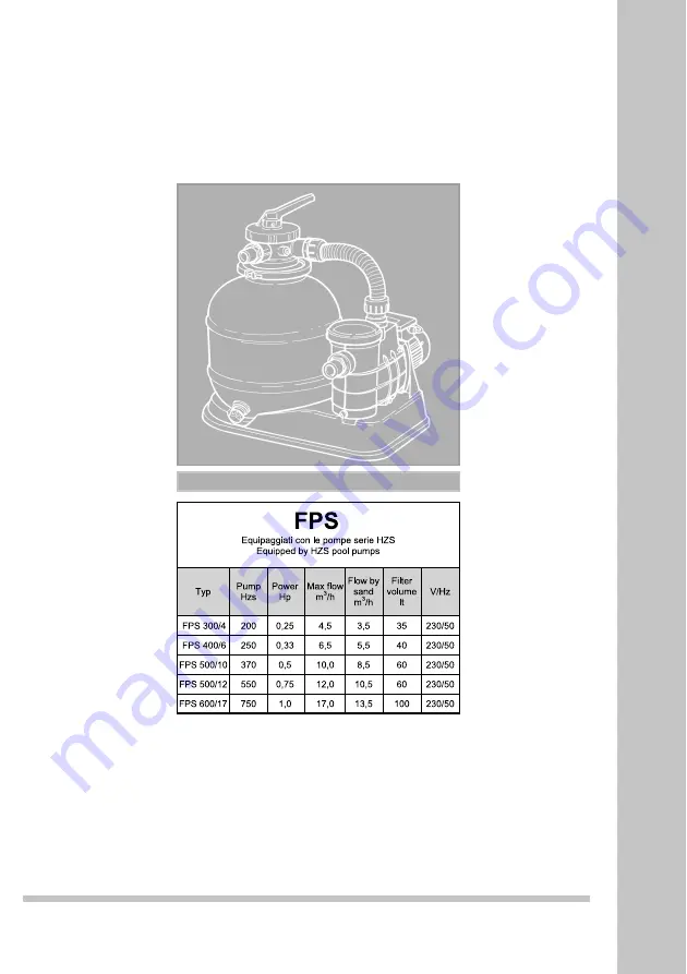 FPS 300/4 Installation And Maintenance Manual Download Page 20