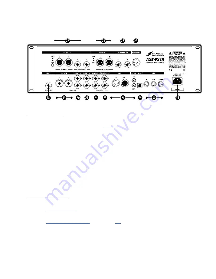 Fractal Audio Axe-Fx III Скачать руководство пользователя страница 22