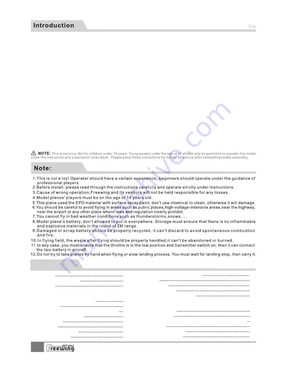 Freewing FJ311 User Manual Download Page 2