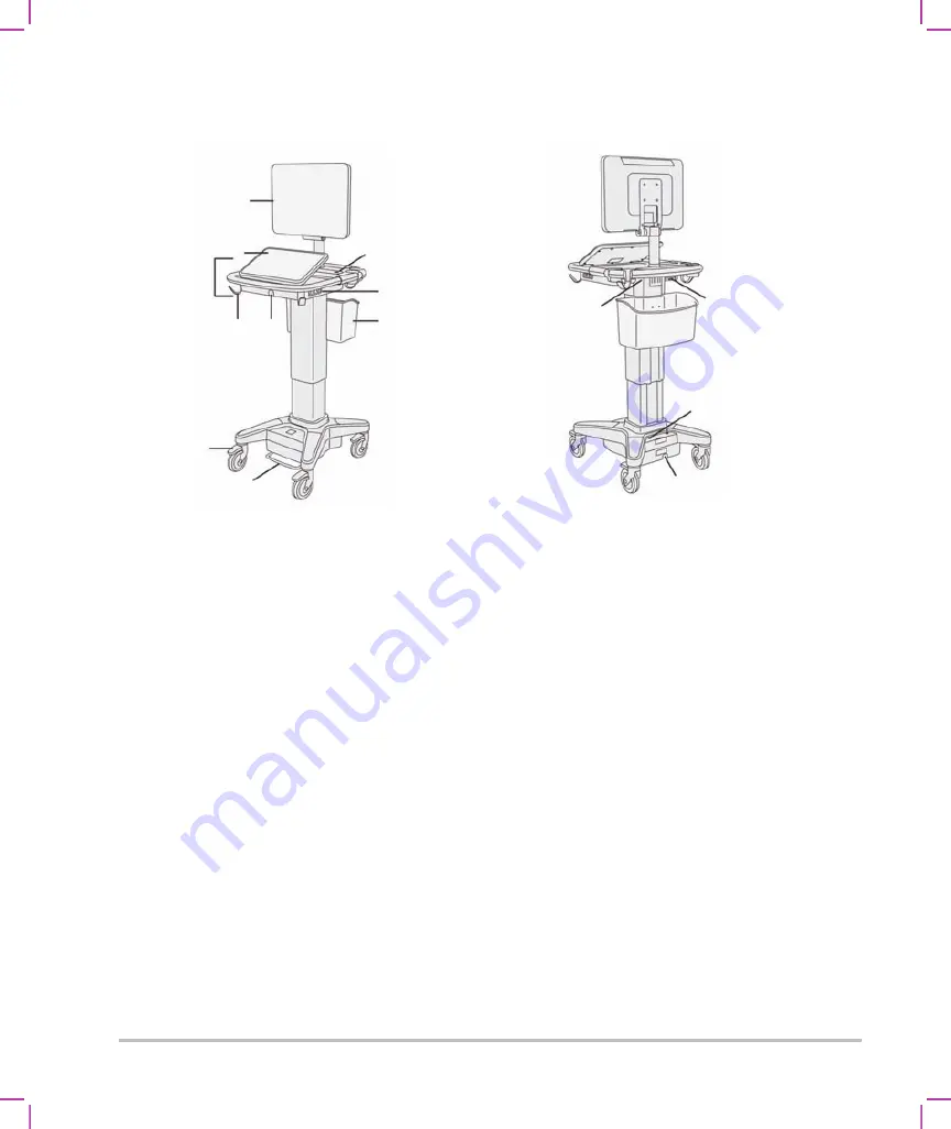 FujiFilm SONOSITE X-PORTE User Manual Download Page 12