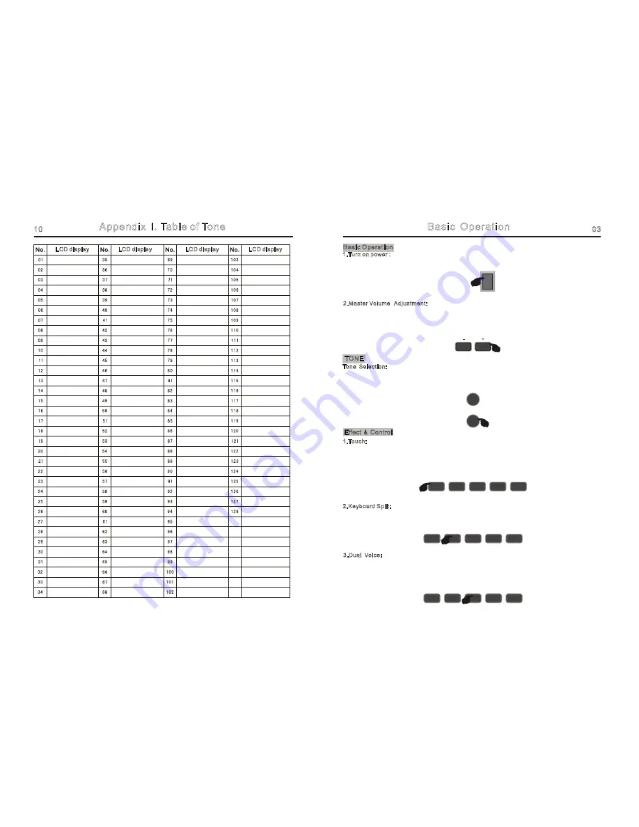 Funkey DP-61 II Operator'S Manual Download Page 6