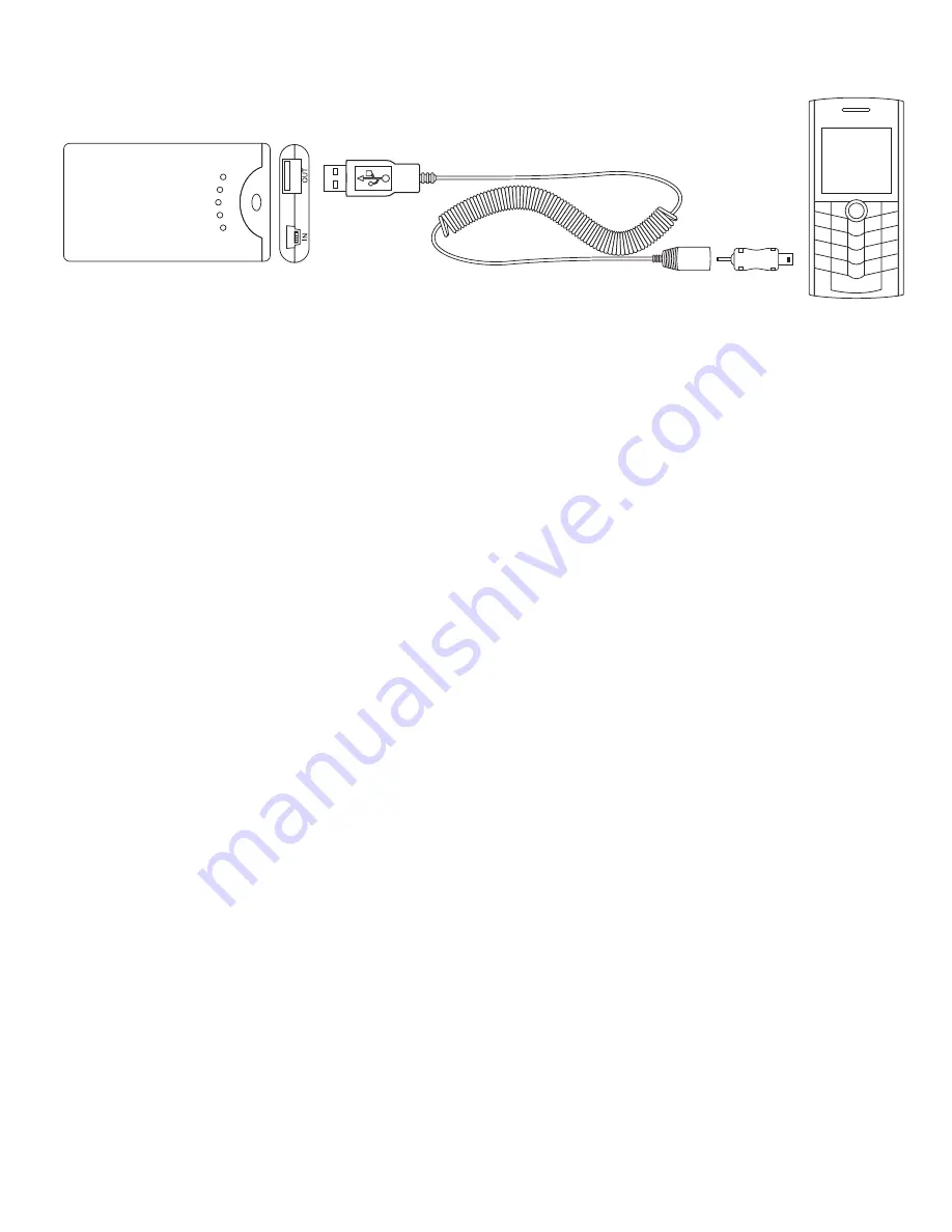 G-Tech 5256 Скачать руководство пользователя страница 2